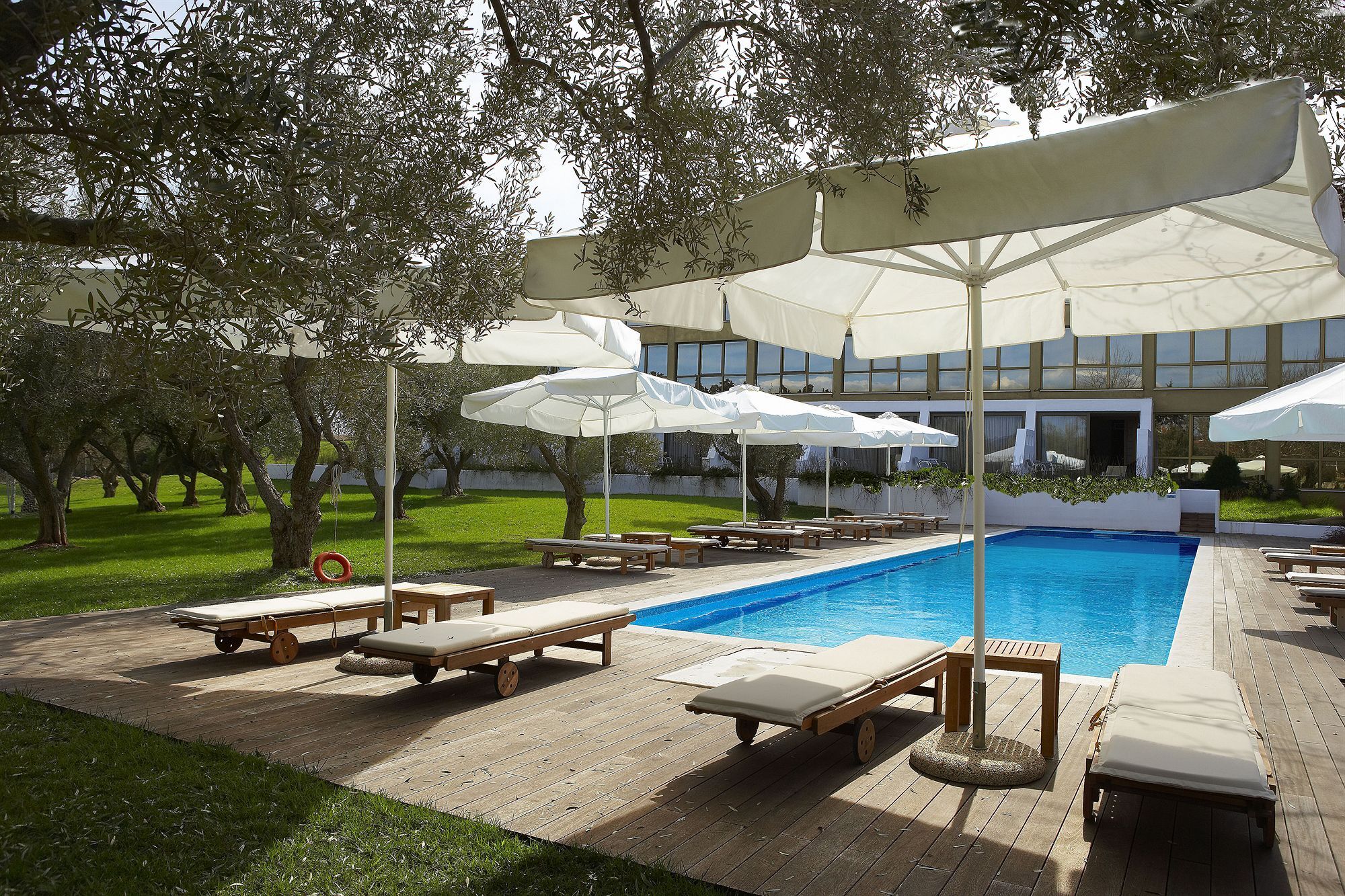 فندق وسبا Alexander Beach أليكسانثيربوليس المظهر الخارجي الصورة The pool at the hotel